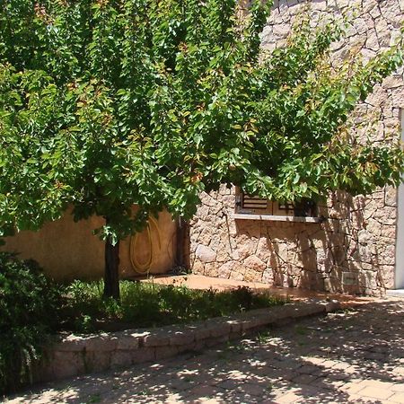 Bella Casa Con Giardino A 10 Minuti Dal Mare Leilighet Aglientu Eksteriør bilde
